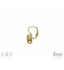  Argola LBS & Kessy Folheado Com Pedra - 2cm 