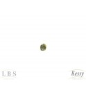 Brinco Infantil LBS & Kessy Folheado Com Pedra - 0,4cm
