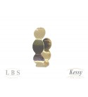 Argola LBS & Kessy Folheado - 2cm