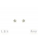 Conjunto LBS & Kessy Folheado Estrela + Pedra 